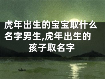 虎年出生的宝宝取什么名字男生,虎年出生的孩子取名字