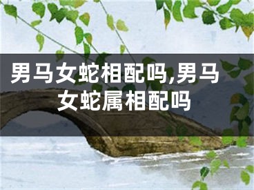 男马女蛇相配吗,男马女蛇属相配吗
