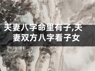 夫妻八字命里有子,夫妻双方八字看子女