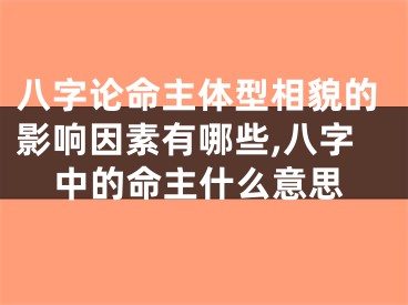 八字论命主体型相貌的影响因素有哪些,八字中的命主什么意思