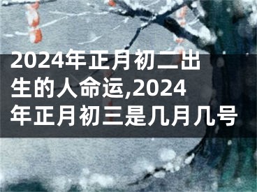 2024年正月初二出生的人命运,2024年正月初三是几月几号