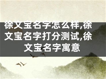 徐文宝名字怎么样,徐文宝名字打分测试,徐文宝名字寓意