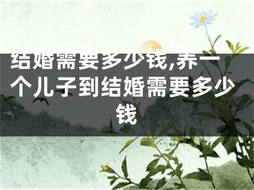 结婚需要多少钱,养一个儿子到结婚需要多少钱