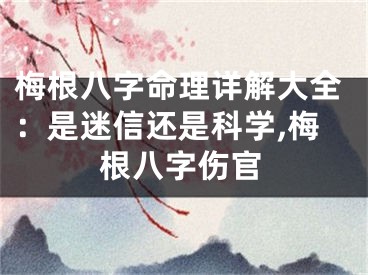 梅根八字命理详解大全:是迷信还是科学,梅根八字伤官