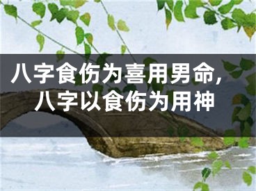 八字食伤为喜用男命,八字以食伤为用神