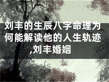 刘丰的生辰八字命理为何能解读他的人生轨迹,刘丰婚姻