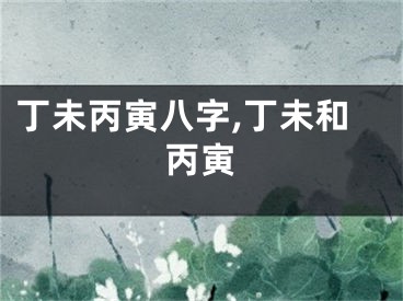 丁未丙寅八字,丁未和丙寅