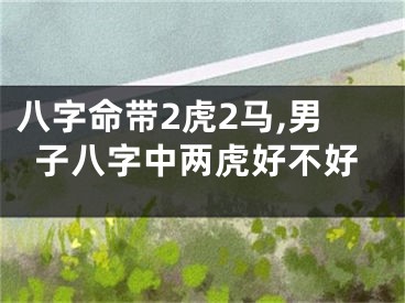 八字命带2虎2马,男子八字中两虎好不好
