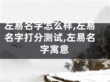 左易名字怎么样,左易名字打分测试,左易名字寓意