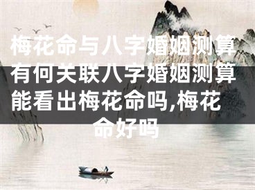 梅花命与八字婚姻测算有何关联八字婚姻测算能看出梅花命吗,梅花命好吗