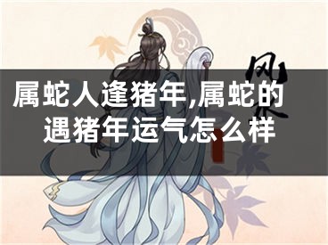 属蛇人逢猪年,属蛇的遇猪年运气怎么样
