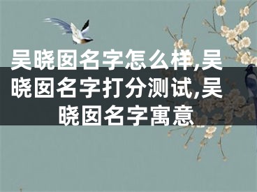 吴晓囡名字怎么样,吴晓囡名字打分测试,吴晓囡名字寓意