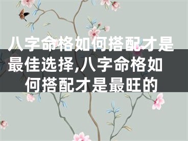 八字命格如何搭配才是最佳选择,八字命格如何搭配才是最旺的