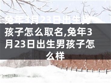 兔年3月23日出生男孩子怎么取名,兔年3月23日出生男孩子怎么样