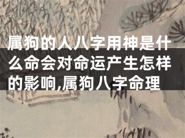 属狗的人八字用神是什么命会对命运产生怎样的影响,属狗八字命理