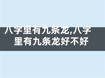 八字里有九条龙,八字里有九条龙好不好