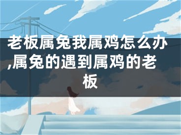 老板属兔我属鸡怎么办,属兔的遇到属鸡的老板