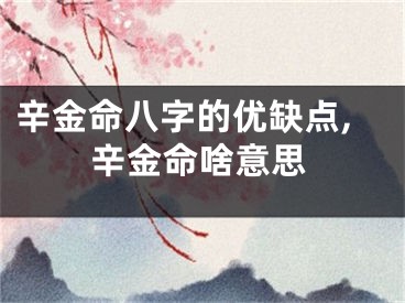 辛金命八字的优缺点,辛金命啥意思