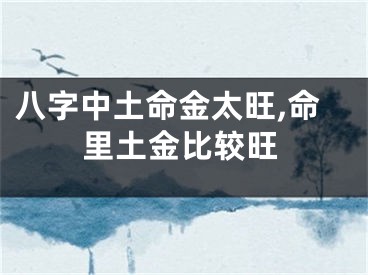 八字中土命金太旺,命里土金比较旺