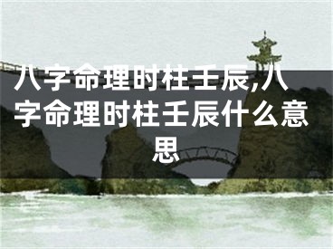 八字命理时柱壬辰,八字命理时柱壬辰什么意思