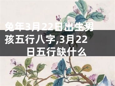 兔年3月22日出生男孩五行八字,3月22日五行缺什么