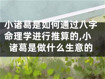 小诸葛是如何通过八字命理学进行推算的,小诸葛是做什么生意的