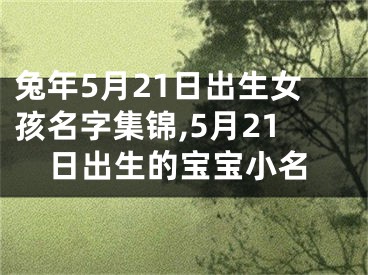 兔年5月21日出生女孩名字集锦,5月21日出生的宝宝小名
