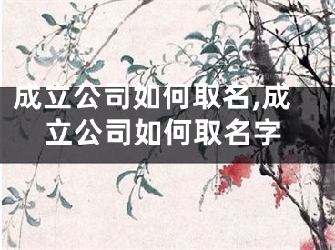 成立公司如何取名,成立公司如何取名字