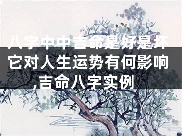 八字中中吉命是好是坏它对人生运势有何影响,吉命八字实例
