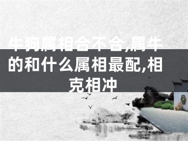牛狗属相合不合,属牛的和什么属相最配,相克相冲