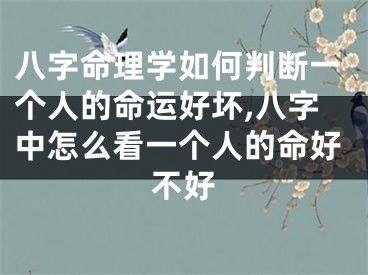 八字命理学如何判断一个人的命运好坏,八字中怎么看一个人的命好不好