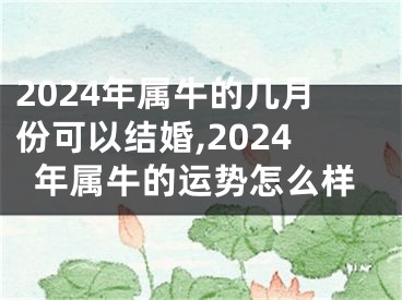 2024年属牛的几月份可以结婚,2024年属牛的运势怎么样