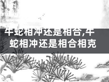 牛蛇相冲还是相合,牛蛇相冲还是相合相克