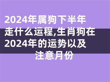 2024年属狗下半年走什么运程,生肖狗在2024年的运势以及注意月份