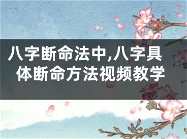 八字断命法中,八字具体断命方法视频教学