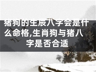 猪狗的生辰八字会是什么命格,生肖狗与猪八字是否合适