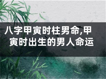 八字甲寅时柱男命,甲寅时出生的男人命运