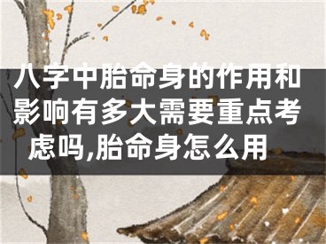 八字中胎命身的作用和影响有多大需要重点考虑吗,胎命身怎么用