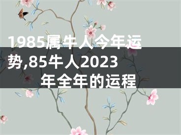 1985属牛人今年运势,85牛人2023年全年的运程