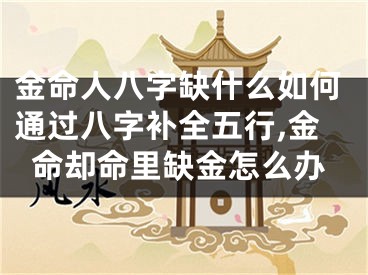 金命人八字缺什么如何通过八字补全五行,金命却命里缺金怎么办