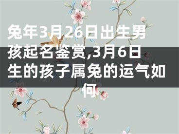 兔年3月26日出生男孩起名鉴赏,3月6日生的孩子属兔的运气如何