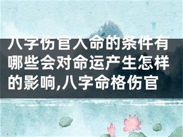 八字伤官入命的条件有哪些会对命运产生怎样的影响,八字命格伤官