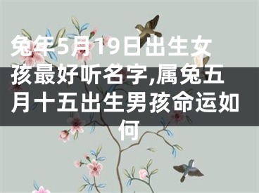 兔年5月19日出生女孩最好听名字,属兔五月十五出生男孩命运如何