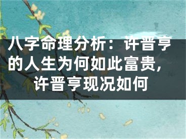 八字命理分析：许晋亨的人生为何如此富贵,许晋亨现况如何