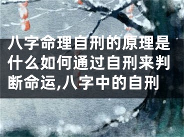 八字命理自刑的原理是什么如何通过自刑来判断命运,八字中的自刑