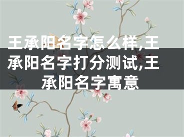 王承阳名字怎么样,王承阳名字打分测试,王承阳名字寓意