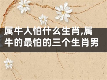 属牛人怕什么生肖,属牛的最怕的三个生肖男