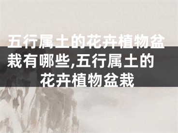 五行属土的花卉植物盆栽有哪些,五行属土的花卉植物盆栽