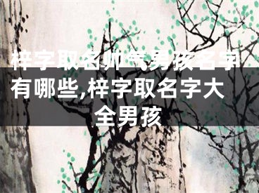 梓字取名帅气男孩名字有哪些,梓字取名字大全男孩