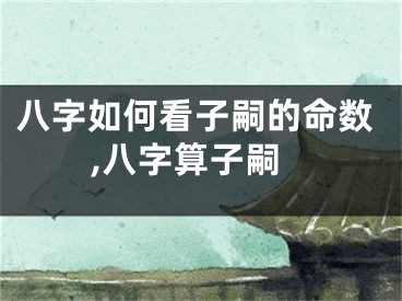八字如何看子嗣的命数,八字算子嗣